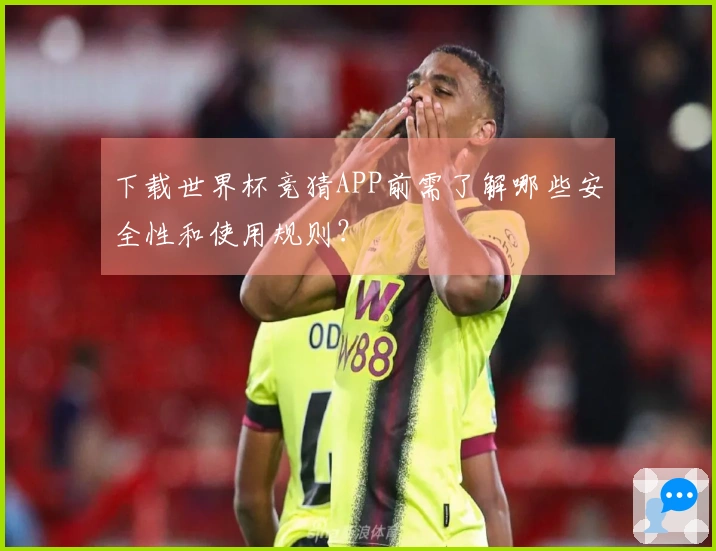 下载世界杯竞猜APP前需了解哪些安全性和使用规则？
