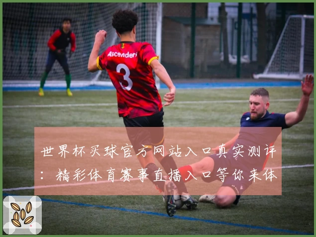 世界杯买球官方网站入口真实测评：精彩体育赛事直播入口等你来体验