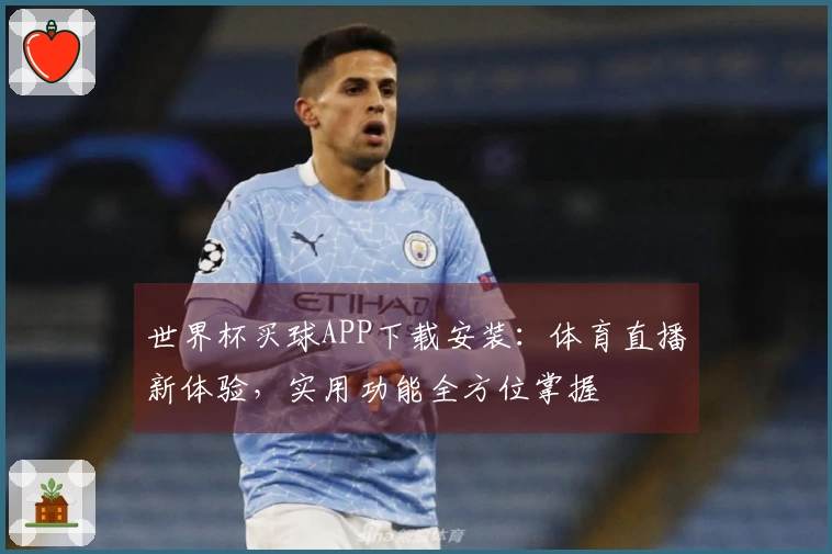 世界杯买球APP下载安装：体育直播新体验，实用功能全方位掌握