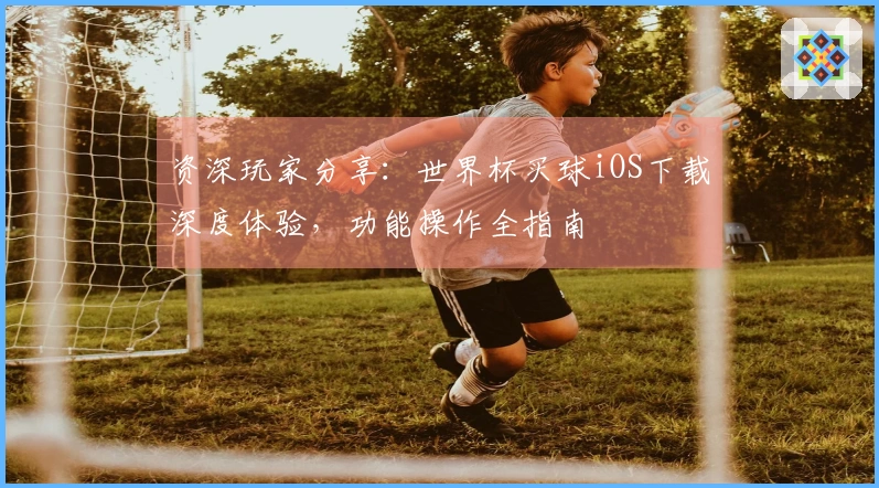 资深玩家分享：世界杯买球iOS下载深度体验，功能操作全指南