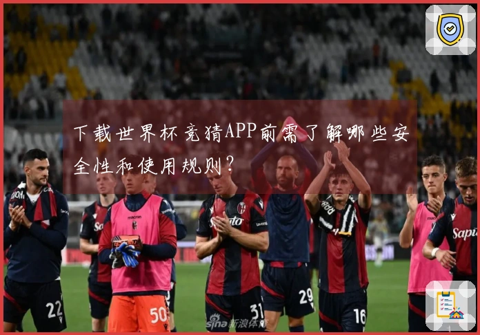 下载世界杯竞猜APP前需了解哪些安全性和使用规则?