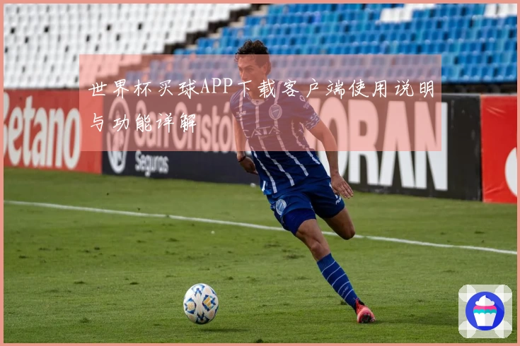 世界杯买球APP下载客户端使用说明与功能详解
