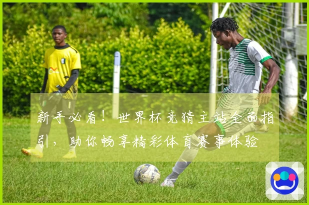 新手必看！世界杯竞猜主站全面指引，助你畅享精彩体育赛事体验