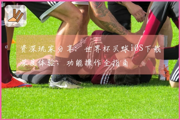 资深玩家分享：世界杯买球iOS下载深度体验，功能操作全指南