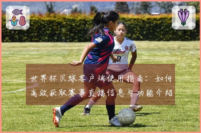 世界杯买球客户端使用指南：如何高效获取赛事直播信息与功能介绍